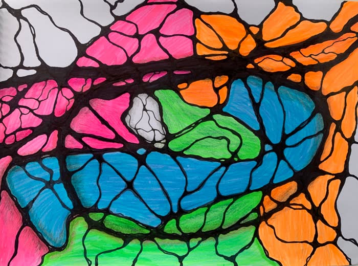 Illustration representing neuroplasticity and creative brain engagement
